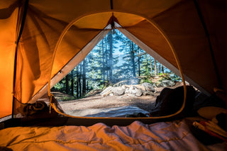 Pitch A Tent in Paradise: 4 Incredible National Forest Camping Spots-Begonia &amp; Bench