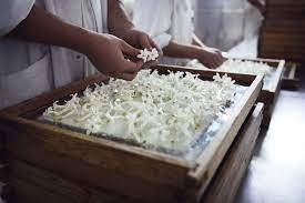 Two individuals in white uniforms handling fresh white flowers on large, shallow wooden trays, likely preparing them for processing or drying. The scene suggests a meticulous, hands-on approach to handling delicate materials.