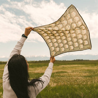 Handker Bandanas - National Parks Bandana