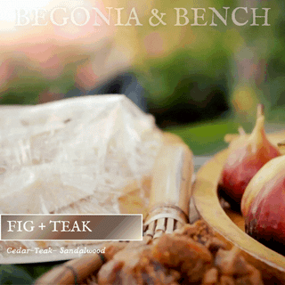 Fig + Teak - 16oz Twin Wick - By Begonia & Bench®
