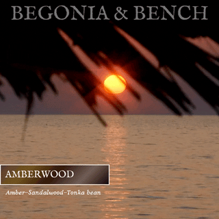 Amberwood - 9oz. Amber Jar Candle - By Begonia & Bench®