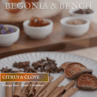 Citrus & Clove - 9oz. Amber Jar Candle - By Begonia & Bench®