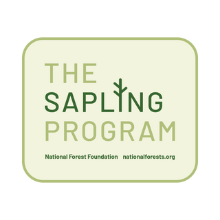A rectangular green and beige logo for "The Sapling Program" by the National Forest Foundation. The words "The Sapling Program" are in uppercase with a tree icon in place of the letter 'I' in "Sapling." Text below reads "National Forest Foundation" and "nationalforests.org.
