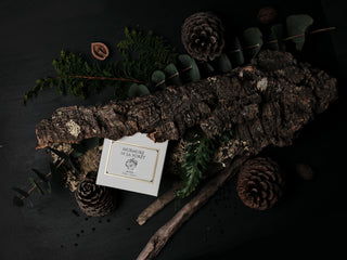 TOKYO KODO First Collection - MURMURE DE LA FORET