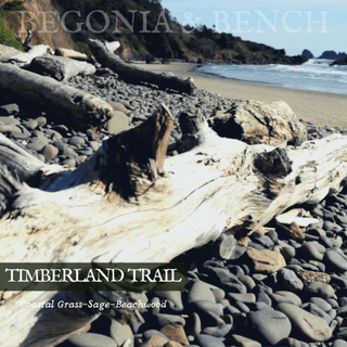 A rocky beach is strewn with driftwood logs of various sizes. In the background, waves are gently lapping at the shore, with a line of forested cliffs in the distance. Near the bottom, text reads "TIMBERLAND TRAIL Coastal Grass-Sage-Beachwood." At the top, faint text reads "Begonia & Bench® Fall Candle - Timberland Trail™ - 9oz. Amber Jar Candle.