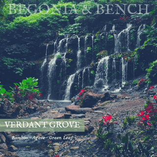 Verdant Grove - 9oz. Amber Jar Candle - By Begonia & Bench® - Begonia & Bench