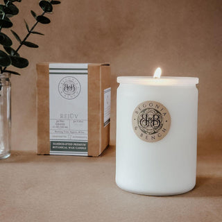 A lit white Rejüv™ - 12oz Finely Crafted Scented Candle by Begonia & Bench® is placed on a beige surface next to its cardboard box, both showcasing the Begonia & Bench logo and label. A glass vase with green leaves is partially visible behind the box, adding a natural touch to the scene.