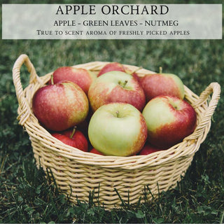 A wicker basket filled with red and green apples sits on lush green grass. Above the basket is a label that reads, "Apple Orchard - 12oz Finely Crafted Scented Candle By Begonia & Bench®: Apple, Green Leaves, Nutmeg. True to scent aroma of freshly picked apples." The image emphasizes a natural, fresh harvest of apples, perfect for a fall scented candle.