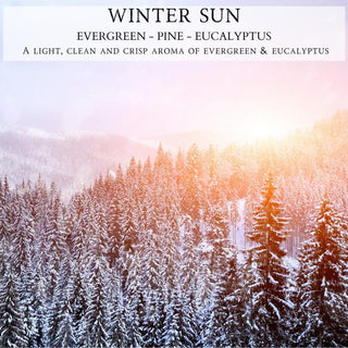The image features a snowy forest with evergreen trees under a bright, hazy winter sun. Above the forest, text reads: "Winter Sun™ - 12oz Finely Crafted Scented Candle By Begonia & Bench® - PINE - EUCALYPTUS A light, clean and crisp aroma of evergreen & eucalyptus." This scented candle evokes a serene, fresh winter atmosphere.