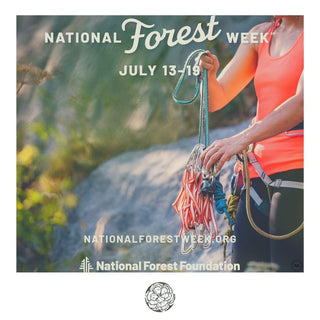 Did you know 7 in 10 Americans live within a 2 hour drive of a National Forest? 🌲🙌⁣🚶‍♀️-Begonia &amp; Bench