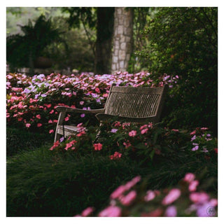 🤔"How did you come up with the name Begonia & Bench?"⁣-Begonia & Bench
