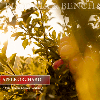 Apple Orchard - 9oz. Amber Jar Candle - By Begonia & Bench®