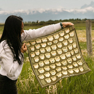 Handker Bandanas - National Parks Bandana