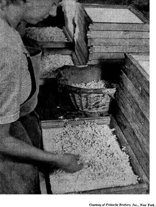 A person is standing next to wooden trays filled with what appears to be grated or shredded material, likely cheese, in a production setting. The person is using their hands to spread the material evenly across the trays. There are baskets and more trays stacked in the background. Text at the bottom reads, "Courtesy of Fritzsche Brothers, Inc., New York," resembling an artisanal craft project that could blend perfectly with our Enfleurage Fine Art Candle.