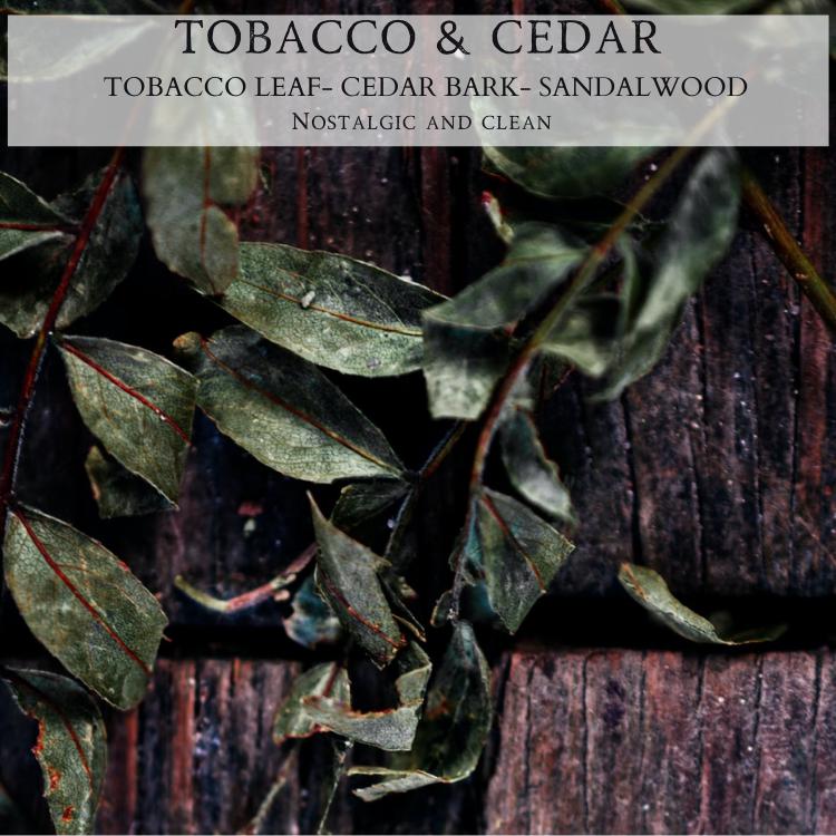 A close-up of green tobacco leaves and cedar bark on a wooden surface perfectly captures the essence of the Tobacco & Cedar - 9oz. Amber Jar Candle by Begonia & Bench®. The text "TOBACCO & CEDAR" at the top is followed by "TOBACCO LEAF- CEDAR BARK- SANDALWOOD" with descriptions like "Nostalgic and clean," highlighting its scent profile. The rustic wooden background adds an authentic touch.