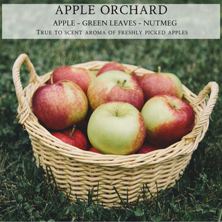 A 9oz. amber jar candle labeled "Apple Orchard - By Begonia & Bench®" sits on green grass, brimming with the scents of apple, green leaves, and nutmeg. Above the candle, text reads: "APPLE ORCHARD: Apple - Green Leaves - Nutmeg. True to scent aroma of freshly picked apples." The image evokes the freshness of an apple orchard, capturing the essence of an autumn scent.