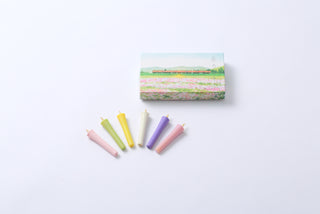 DAIYO Colored Candles Four Seasons