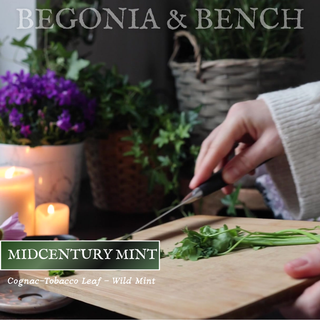 Midcentury Mint™ - 12oz Finely Crafted Scented Candle By Begonia & Bench®