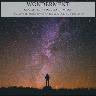 A vibrant night sky adorned with countless stars and a purple-pink Milky Way stretching over the horizon. A person stands silhouetted on a hill, gazing up in awe. Text at the top reads: "WONDERMENT™: Sea Salt - Plum - Dark Musk." An astral experience of plum, musk, and sea salt encapsulated in the 9oz. Amber Jar Candle by Begonia & Bench®.