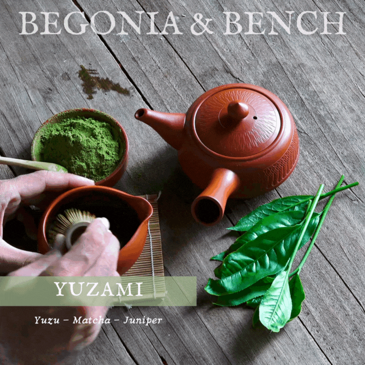 A Japanese-style tea display features a terracotta teapot, a bowl with vibrant matcha being whisked, and green tea leaves arranged on a wooden surface. "Begonia & Bench®" is prominently featured at the top, while "Yuzami: Yuzu - Matcha - Juniper," reminiscent of the 9oz. Amber Jar Candle by Begonia & Bench®, is elegantly scripted at the bottom.