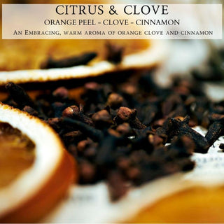 A close-up image shows slices of dried orange peel and whole cloves scattered with a blurred background. At the top, the text reads, "CITRUS & CLOVE ORANGE PEEL - CLOVE - CINNAMON." Below it, the text describes: "An embracing, warm aroma of orange clove and cinnamon, perfect for a fall candle." This is embodied in our Citrus & Clove™ - 12oz Finely Crafted Scented Candle by Begonia & Bench®.