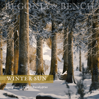 Winter Sun - 9oz. Classic Amber Jar Candle - By Begonia & Bench® - Begonia & Bench