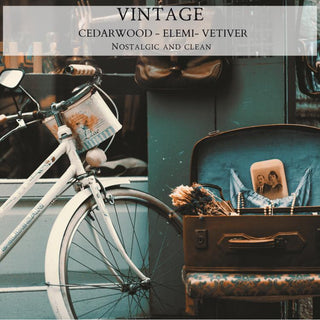 Vintage - By Begonia & Bench®-Begonia &amp; Bench