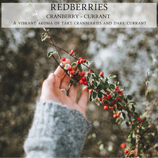 Redberries - By Begonia & Bench®