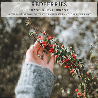 A hand, wearing a grey sweater, gently holds a branch adorned with clusters of red berries. The background is blurred, highlighting the berries. Text overlay reads: "REDBERRIES™ - 12oz Finely Crafted Scented Candle By Begonia & Bench®," followed by "A vibrant aroma of tart cranberries and dark currant." Perfect for your fall scented candle collection.