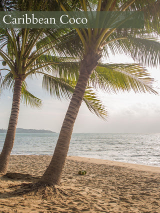 Caribbean Coco - Natural Soy Candle - By Begonia & Bench®