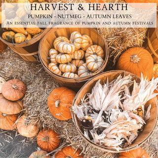 A collection of pumpkins and dried corn arranged on haystacks in autumn. Wooden baskets filled with striped mini pumpkins and dried ears of corn are the highlight. The image text reads "HARVEST & HEARTH™: PUMPKIN - NUTMEG - AUTUMN LEAVES," promoting the 12oz finely crafted scented candle by Begonia & Bench®, capturing the essence of pumpkin and autumn festivals.