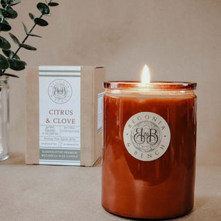 A lit, amber-colored Citrus & Clove™ - 12oz Finely Crafted Scented Candle By Begonia & Bench® sits on a beige surface in a glass jar labeled "Begonia & Bench" with "Citrus & Clove." Behind it, a matching box displays the same logo and scent. To the left, a sprig of green leaves in a glass vase adds a touch of nature.